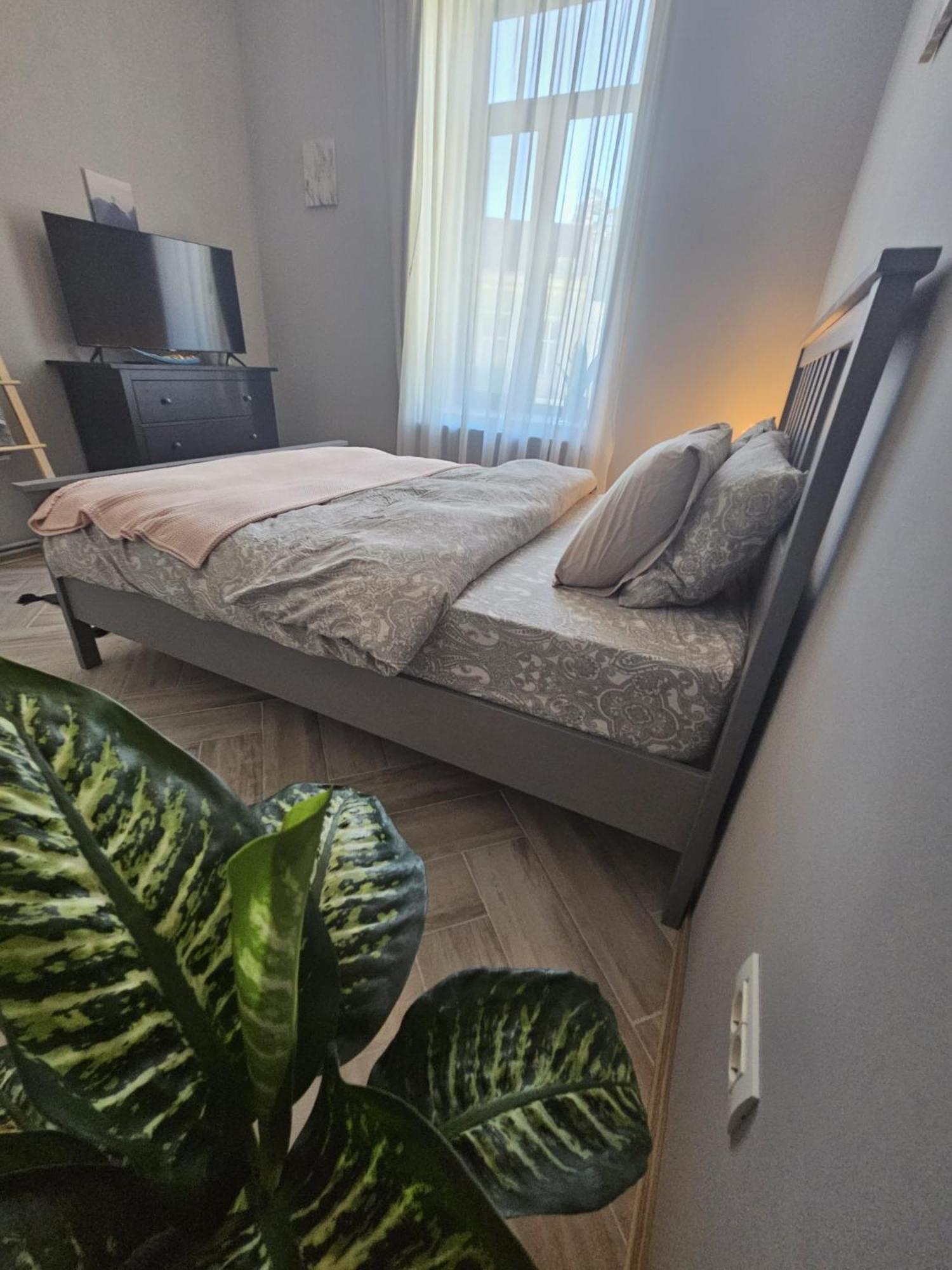Zig Zag Apartment 4- Old Town คอนสตันซา ภายนอก รูปภาพ